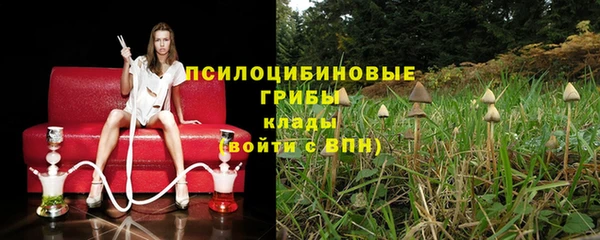 ешки Ростов