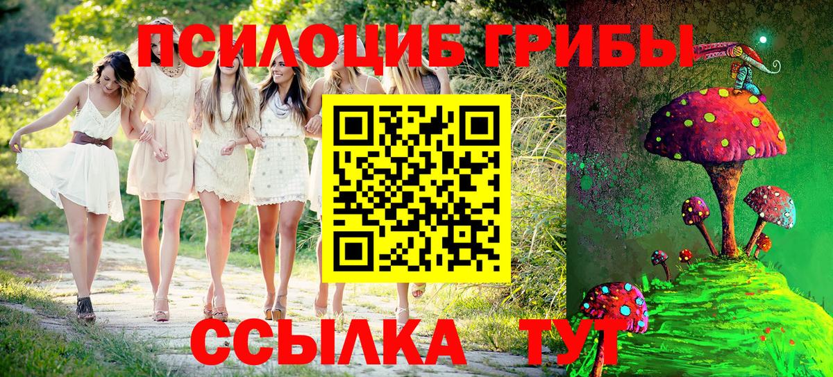 Моршанск  Псилоцибиновые грибы Psilocybine cubensis  Вход с VPN  Галлюциногенные грибы ЛСД 