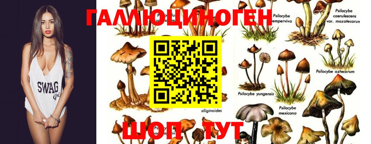 Галлюциногенные грибы MAGIC MUSHROOMS Моршанск